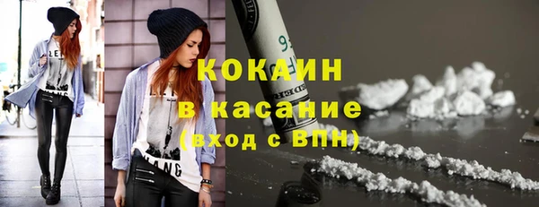 стаф Гусев