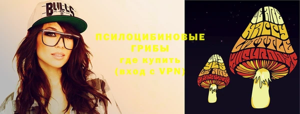 не бодяженный Дмитров
